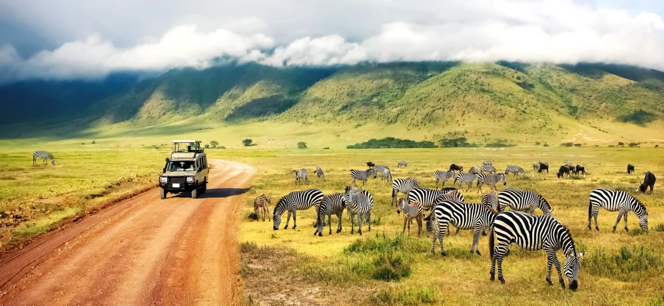 Kenya Experience Safari