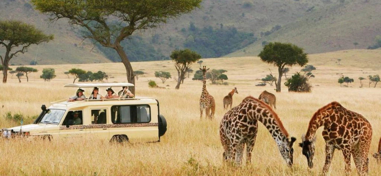 Kenya Experience Safari