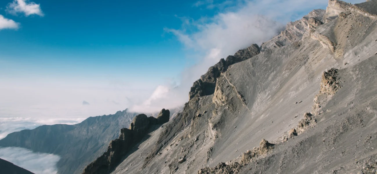 mount kilimanjaro and wildlife combine safari
